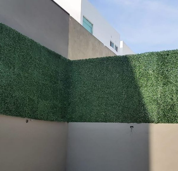 muro verde